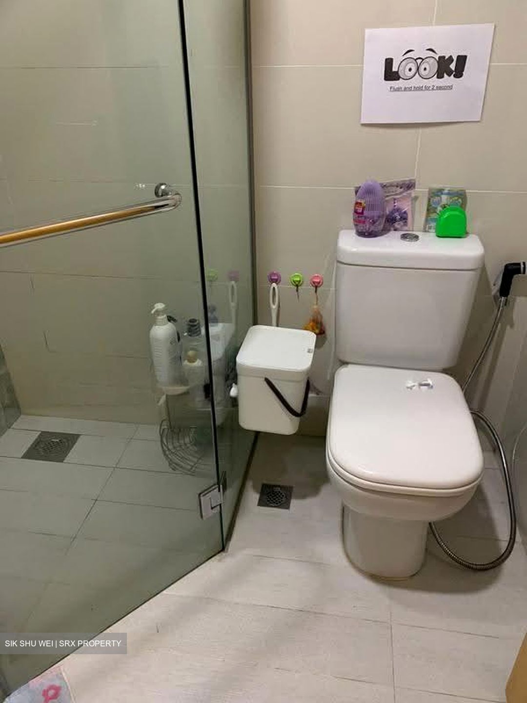 La Fiesta (D19), Condominium #629083761